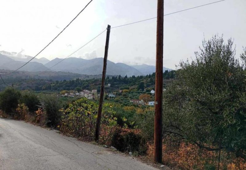 Pemonia Kreta, Pemonia: Grundstück innerhalb der Siedlung zu verkaufen Grundstück kaufen